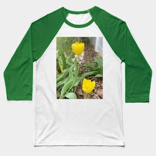 Yellow Tulips Baseball T-Shirt